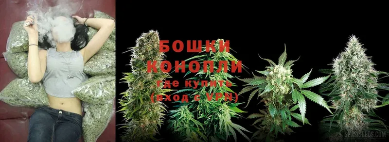 Шишки марихуана SATIVA & INDICA  ссылка на мегу tor  Новодвинск  где можно купить наркотик 